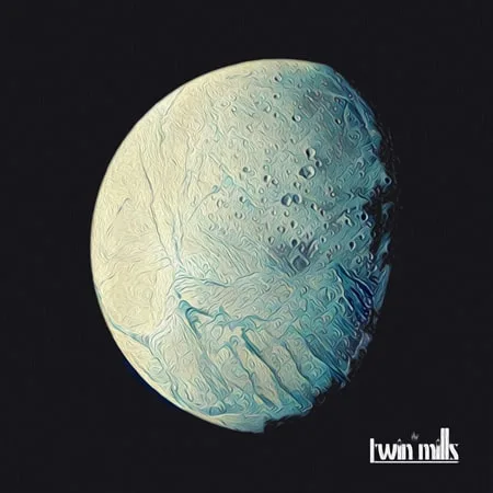 Cover of The twin mills - The twin mills