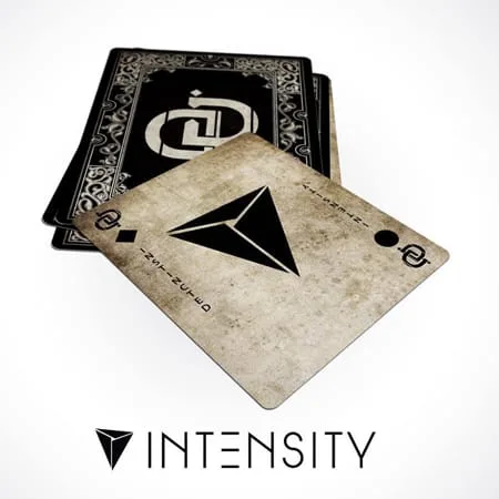 Cover of Instincted - Intensity